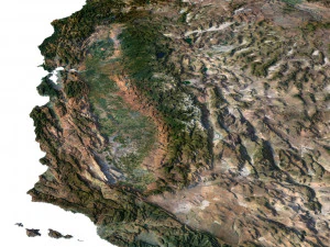 United States Terrain 3D Map 3D Model
