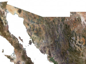 Mexico Terrain 3D Map Modello 3D