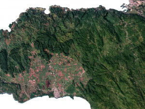 Jamaica Terrain 3D Map 3D Model