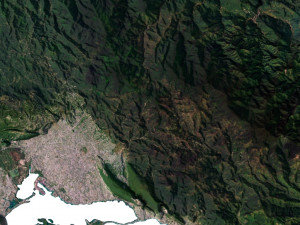 Jamaica Terrain 3D Map Model 3D