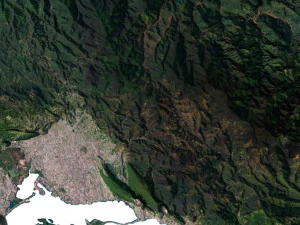 Jamaica Terrain 3D Map 3D Model