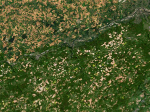 Belgium Terrain 3D Map 3D Model