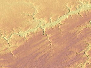 Belgium Terrain 3D Map 3D Model