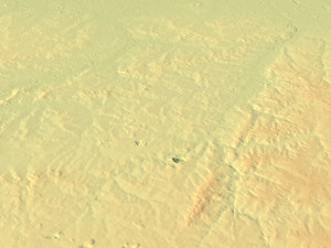 Belgium Terrain 3D Map 3D Model