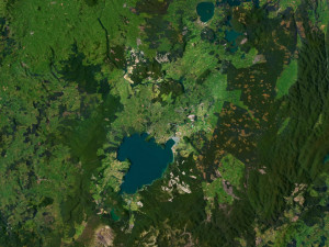 New Zealand Terrain 3D Map 3D Model