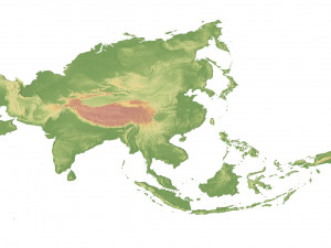 Asia Terrain 3D Map 3D Model