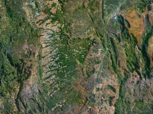 South America Terrain 3D Map 3D 模型