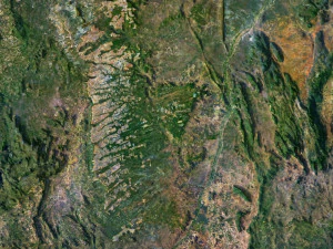 South America Terrain 3D Map 3D Model