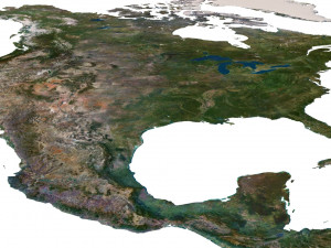 North America Terrain 3D Map Modello 3D
