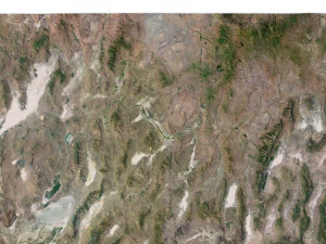 Nevada State Terrain 3D Map 3D Model