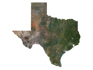 Texas State Terrain 3D Map 3D Model