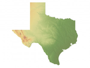 Texas State Terrain 3D Map 3D Model