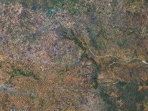 Texas State Terrain 3D Map 3D Model