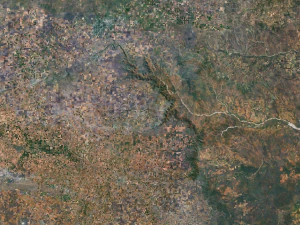 Texas State Terrain 3D Map 3D Model