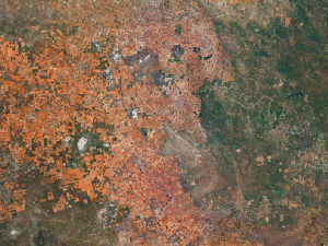 Texas State Terrain 3D Map 3D Model