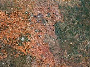 Texas State Terrain 3D Map 3D Model