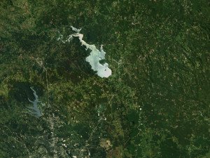 Texas State Terrain 3D Map 3D Model