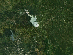 Texas State Terrain 3D Map 3D Model