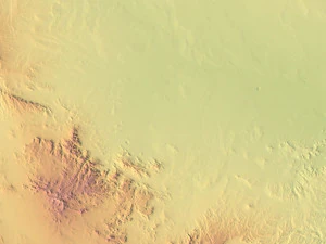 Texas State Terrain 3D Map 3D Model