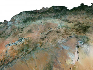Algeria Terrain 3D Map 3D Model