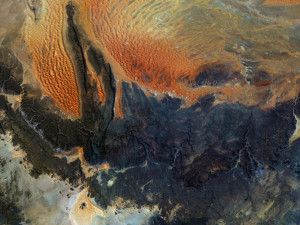Algeria Terrain 3D Map 3D मॉडल
