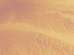Nebraska State Terrain 3D Map 3D Модель