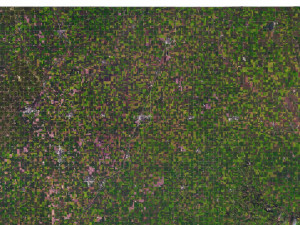 Iowa State Terrain 3D Map Modelo 3D