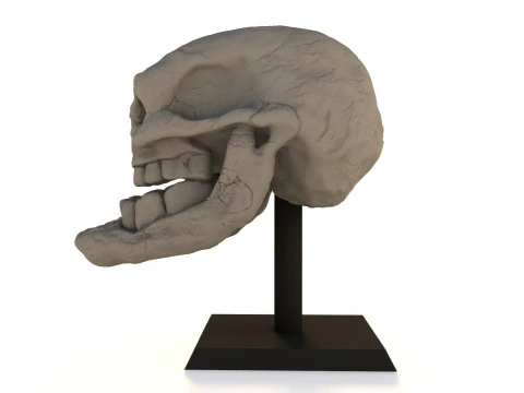 Troll Face for 3D Printing 3D Print Model