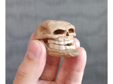 Wajah Troll untuk Pencetakan 3D Model Cetak 3D