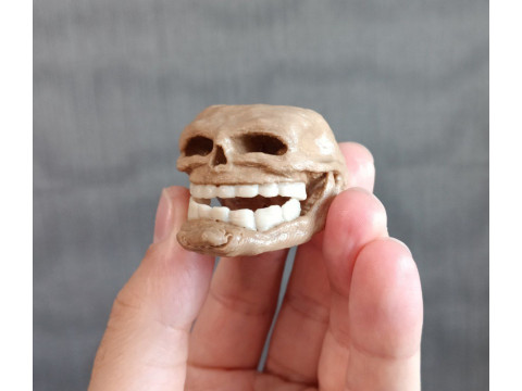 Wajah Troll untuk Pencetakan 3D Model Cetak 3D