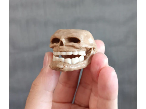 Troll Face for 3D Printing 3D Print Model