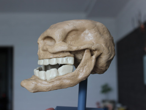 Wajah Troll untuk Pencetakan 3D Model Cetak 3D