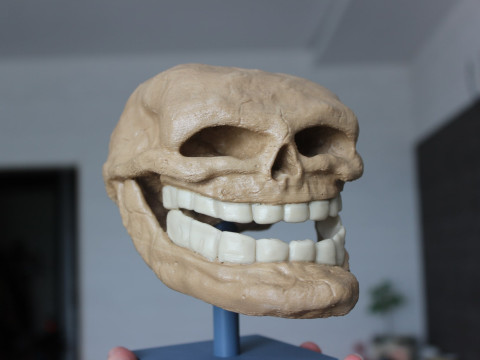 Wajah Troll untuk Pencetakan 3D Model Cetak 3D