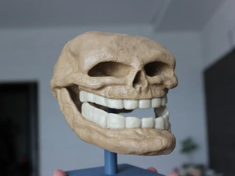 Troll Face for 3D Printing 3D Print Model