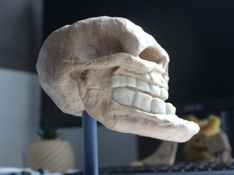 Wajah Troll untuk Pencetakan 3D Model Cetak 3D