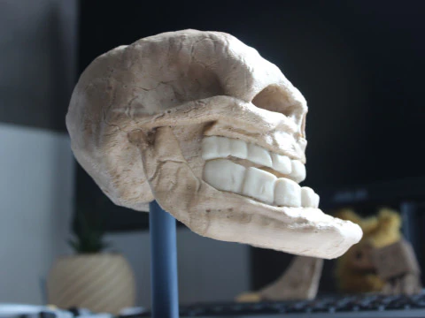 Troll Face for 3D Printing 3D Print Model