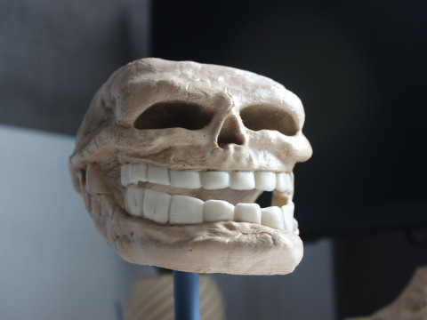 Wajah Troll untuk Pencetakan 3D Model Cetak 3D