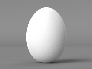White Chicken Egg Model 3D