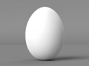 White Chicken Egg 3D Model