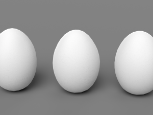 White Chicken Egg Model 3D