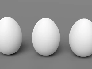 White Chicken Egg 3D Model