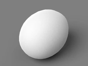 White Chicken Egg 3D Model