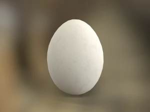 White Chicken Egg 3D Model