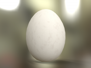 White Chicken Egg Model 3D