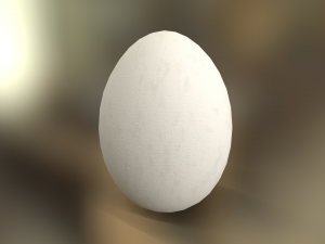 White Chicken Egg Model 3D