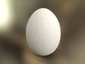 White Chicken Egg 3D Model