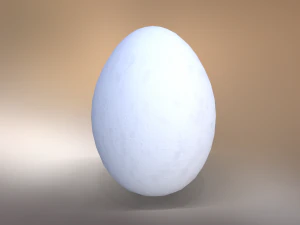 White Chicken Egg 3D Model