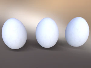 White Chicken Egg 3D Model