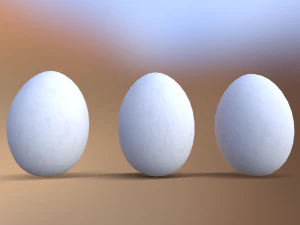 White Chicken Egg 3D Model