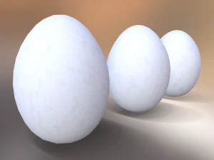 White Chicken Egg 3D Model